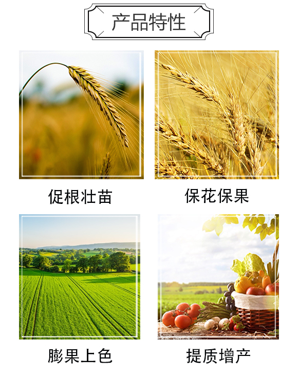 蝦肽素精華液-深海魚蛋白-海法優(yōu)佳_03