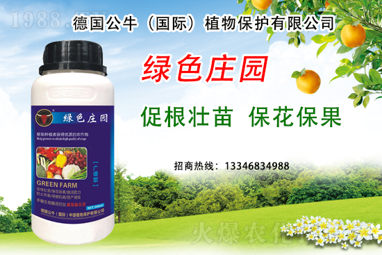 草莓著色不良到底是哪些原因？草莓著色不良又該如何避免？