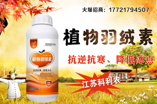 春玉米種植密度如何把握，春玉米施肥及中后期管理！