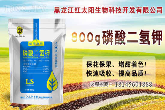     2021年小麥價格多少錢一斤？2月小麥價格會漲嗎？