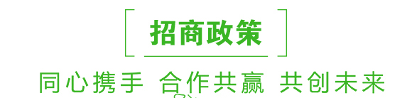 煙草專(zhuān)用-俺倆中-恒綠植物_06