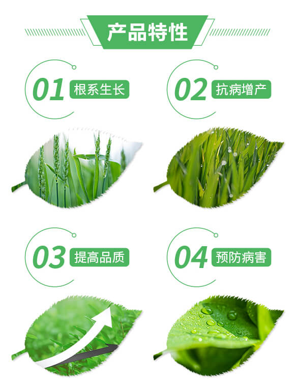 根結(jié)無線-喜蘭特_02