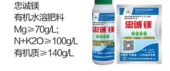 �ЙCˮ�ܷ���-���\�V-�����r(n��ng)_04