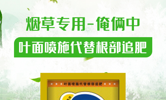 煙草專(zhuān)用-俺倆中-恒綠植物_01