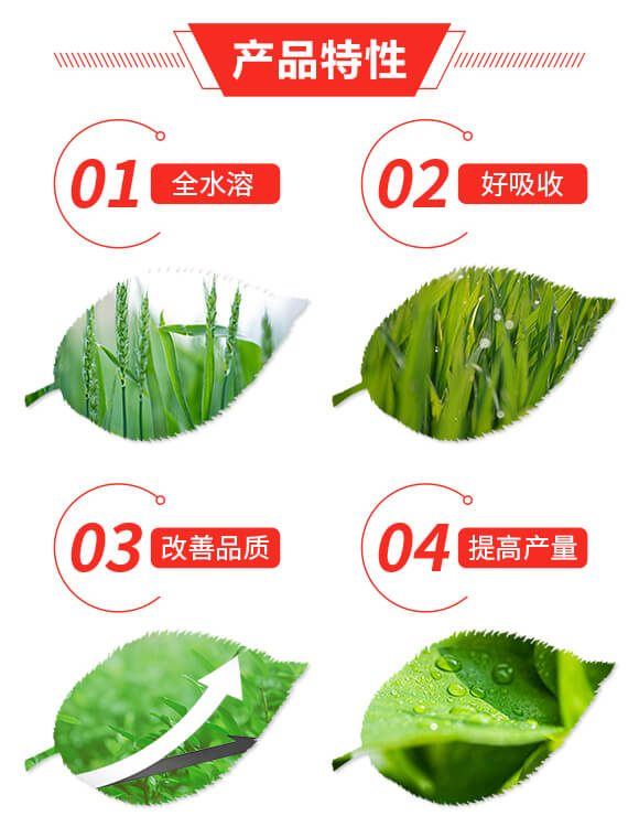 復混肥料20-16-8+10-保樂豐_02