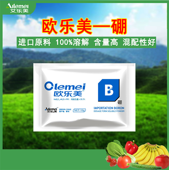 �W�������-������2