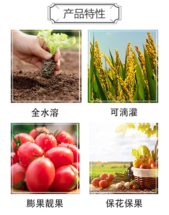 �ߝ������⛏�(f��)�Ϸ���17-17-17-���ܡ��Ľ�-���r(n��ng)���_(d��)_02