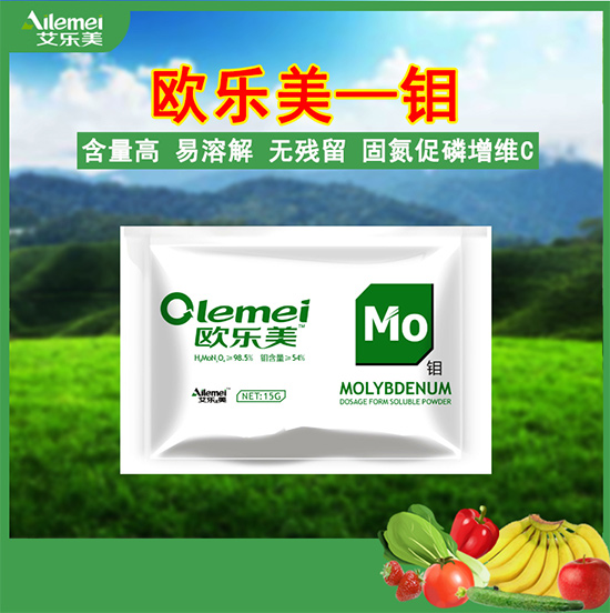 �W�����f��-������2