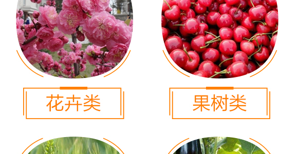 大量元素水溶肥料13-7-40+TE-多微鉀-三碘生化_10