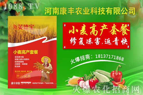 小麥高產(chǎn)套餐能解決小麥哪些問題？小麥高產(chǎn)套餐使用方法!