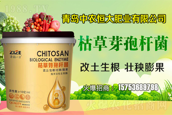 枯草芽孢桿菌真的是“菌中”嗎？枯草芽孢桿菌具體作用你了解嗎？