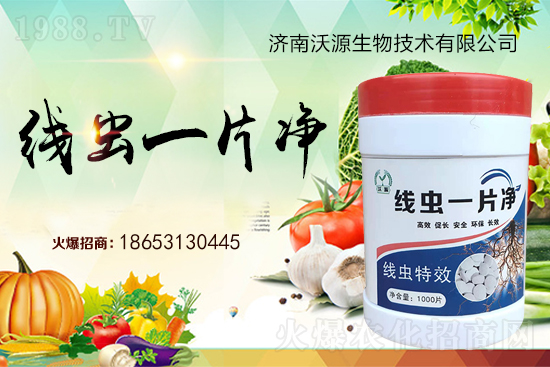 根結(jié)線蟲難防治，專治線蟲“線蟲一片凈”