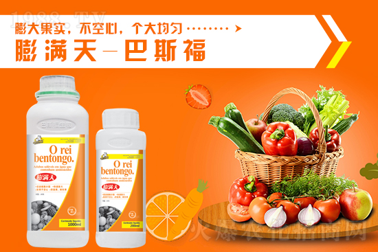 一銨行情暫穩(wěn)，10月13日國內(nèi)磷銨價格行情