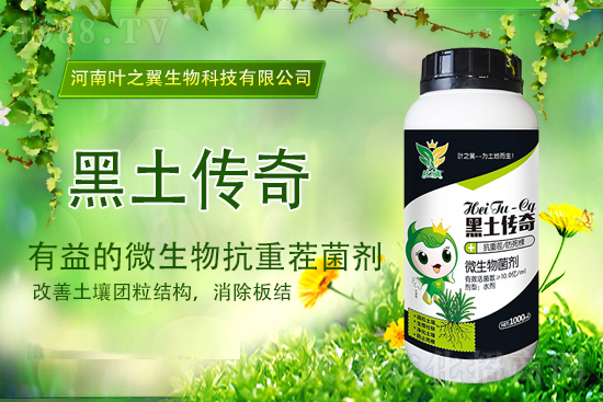  2021年10月19日尿素價(jià)格行情