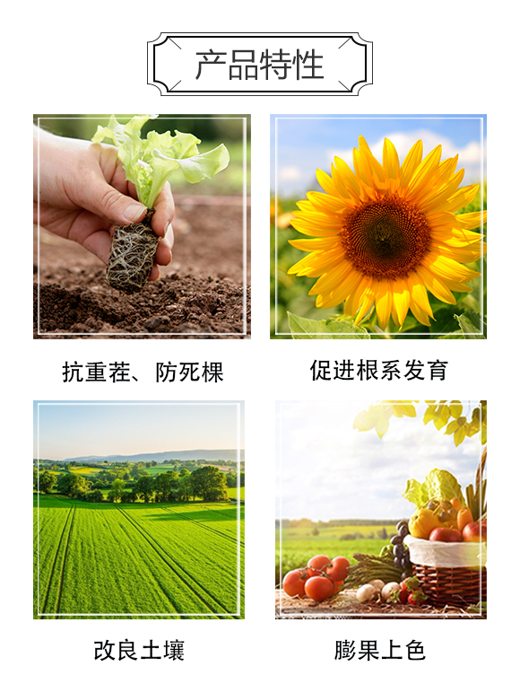 河南土好金-真細(xì)可剎_03