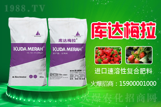 復(fù)合肥價(jià)格日?qǐng)?bào)，10月28日國(guó)內(nèi)化肥價(jià)格