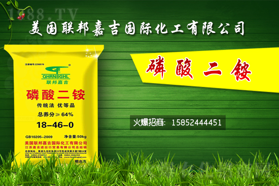 磷銨價格回暖？11月1日磷銨價格行情