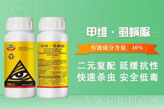 勇冠喬迪再簽1988.TV，鑄就新輝煌！