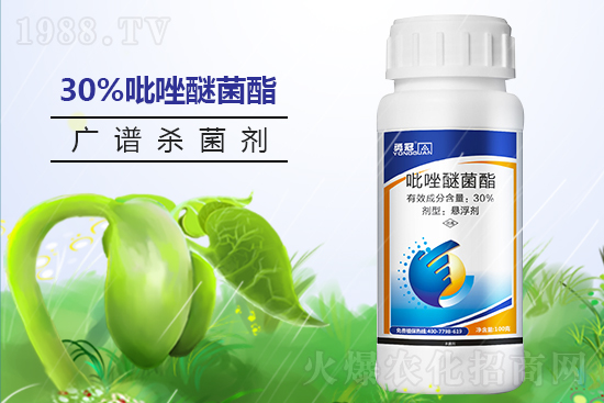 勇冠喬迪再簽1988.TV，鑄就新輝煌！