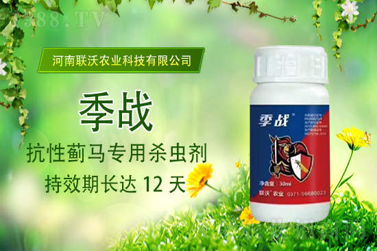 聯(lián)沃農(nóng)業(yè)續(xù)約1988.TV,攜手共創(chuàng)新輝煌!