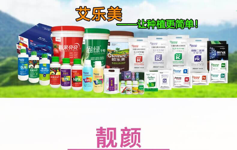 葉果亮亮-靚顏-艾樂美_01