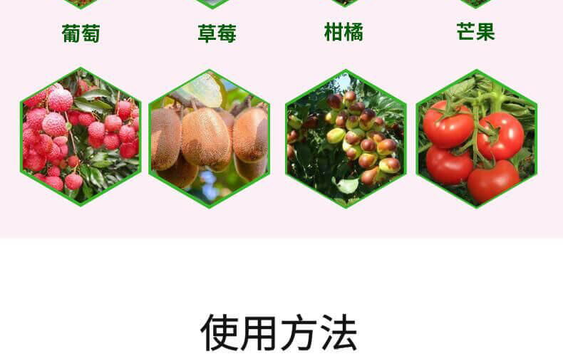 葉果亮亮-靚顏-艾樂美_11