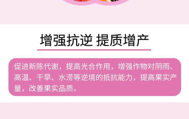 葉果亮亮-靚顏-艾樂美_07