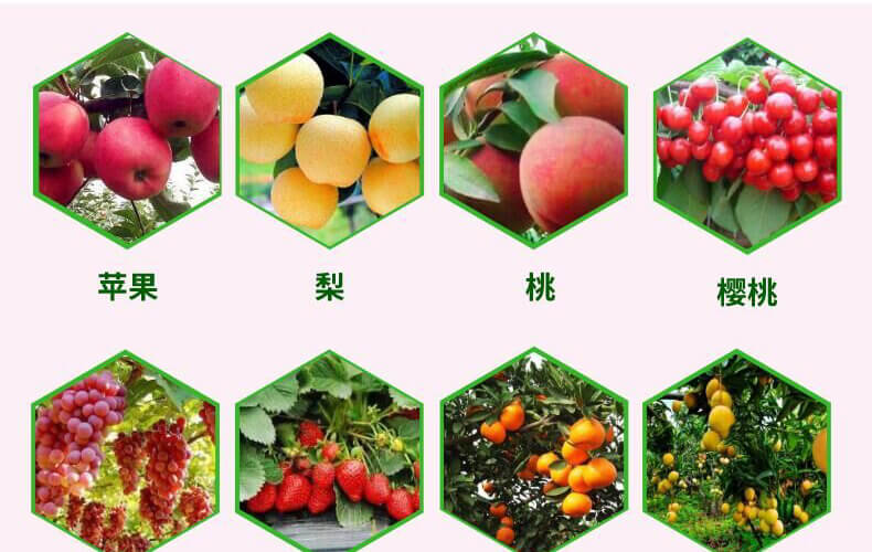 葉果亮亮-靚顏-艾樂美_10