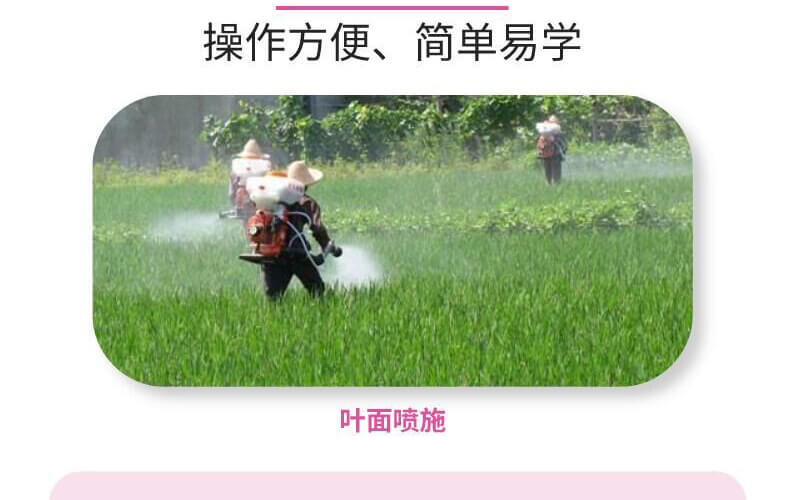 葉果亮亮-靚顏-艾樂美_12