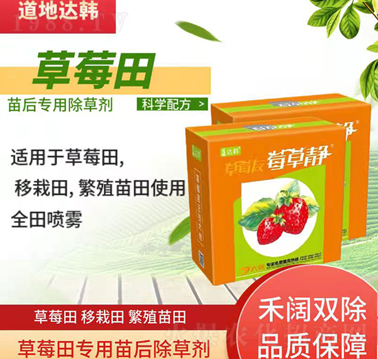 草莓育苗期間使用哪種除草劑？草莓除草劑使用方法！