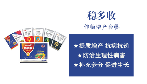 �����п��r(n��ng)�I(y��)�Ƽ��о�Ժ3_02