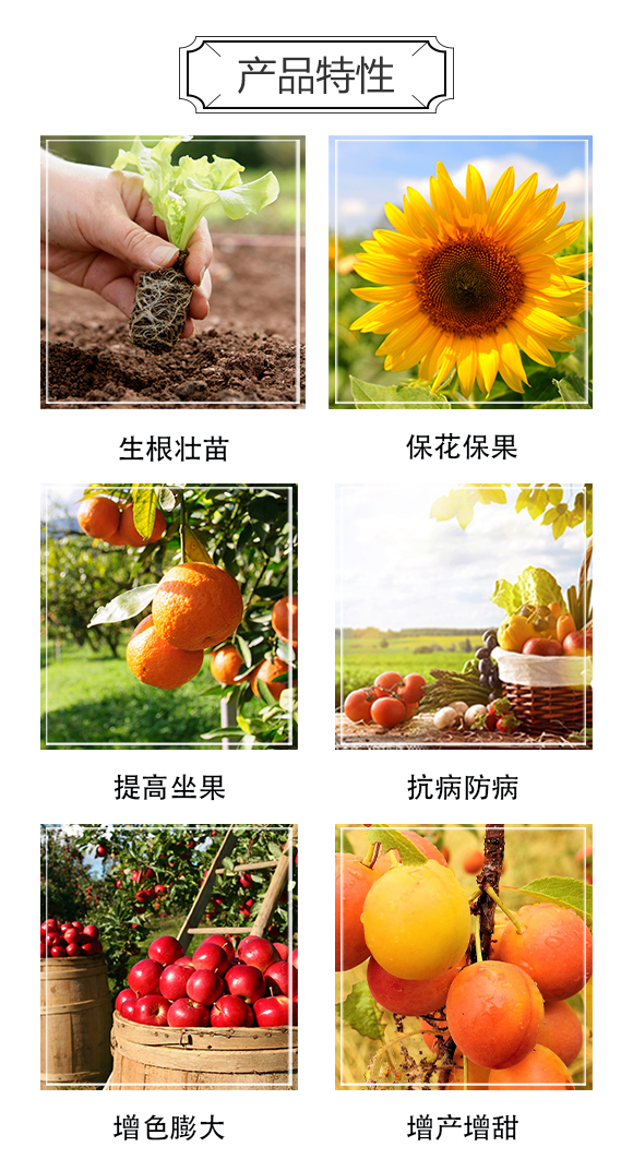 河南中科農(nóng)業(yè)科技研究院2_03