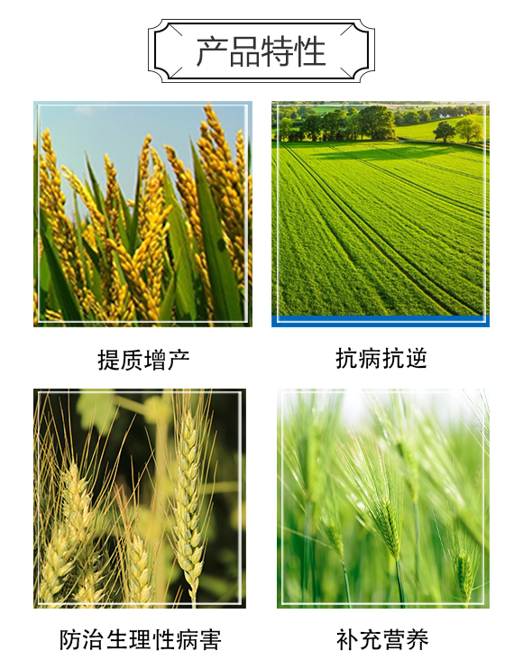 �����п��r(n��ng)�I(y��)�Ƽ��о�Ժ3_03