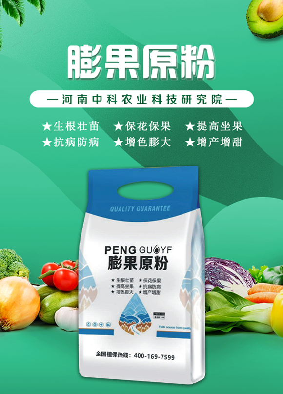 河南中科農(nóng)業(yè)科技研究院2_01