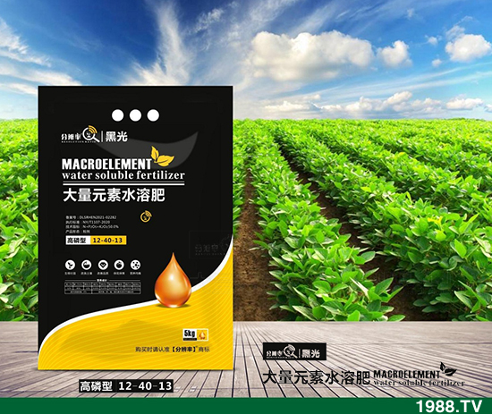 ����(w��n)�\(y��n)����2021.12.31����������@�r(ji��)��