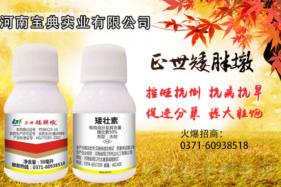 小麥控旺,勢不可擋,專業(yè)控旺,效果為王!