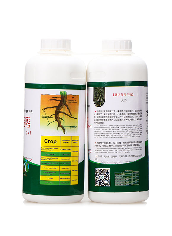 生物菌培養(yǎng)基+線卵寄生菌-華濱2