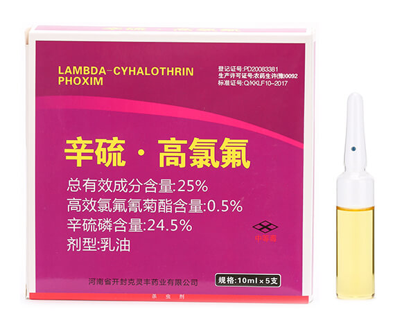 25%���򡤸��ȷ�-���ְ���6