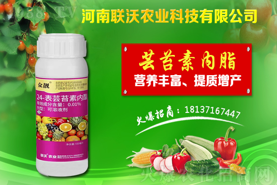 百部適合什么地方種植？百部種植前景及種植技術(shù)！