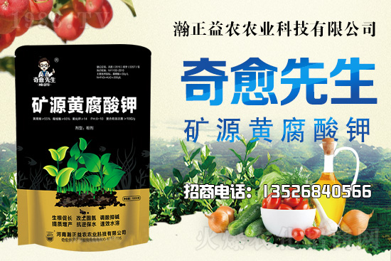 水稻價(jià)格還將上漲！上行空間有多大？附:當(dāng)前水稻價(jià)格