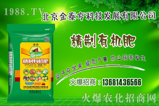 春季草莓該如何管理？草莓肥水管理技術(shù)！