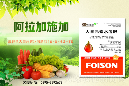 2月6日全國小麥報價！小麥價格突破1.57元/斤