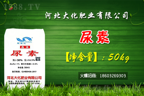 紅香蜜葡萄苗多少錢一棵？種植前景如何？