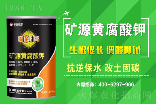 2021年3月11日花生價(jià)格行情一覽