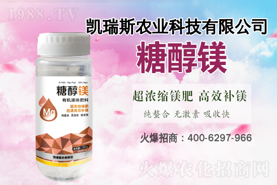 馬鈴薯噴什么葉面肥結(jié)果多？馬鈴薯種植條件及管理！