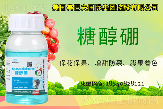 今日稻谷多少錢一斤？2021年稻谷價格是否還會漲？