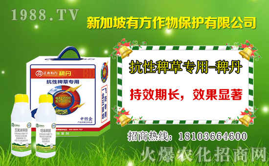2021年3月19日煙嘧莠去津除草劑價格走勢