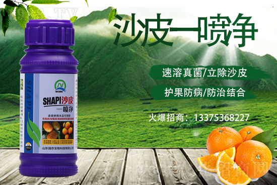 柑橘變成“麻子臉”!這些病害要小心