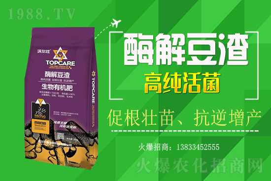 紫蘇種植怎樣管理？紫蘇田間除草及施肥技術(shù)！