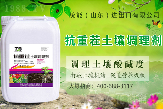 板栗種植怎么選苗子？板栗種植管理要點(diǎn)！